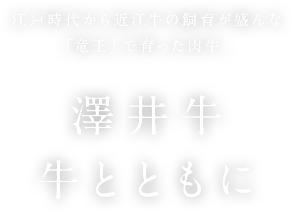 江戸時代から近江牛の飼育が盛んな「竜王」で育った肉牛。澤井牛 牛とともに