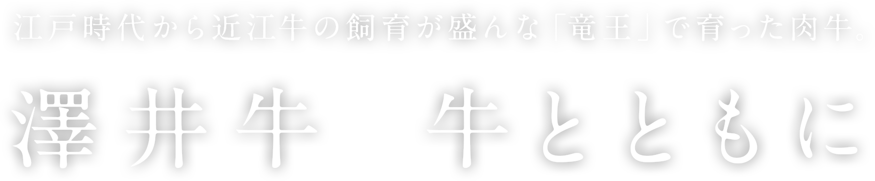 江戸時代から近江牛の飼育が盛んな「竜王」で育った肉牛。澤井牛 牛とともに